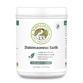 DIATOMACEOUS EARTH - 13 OZ