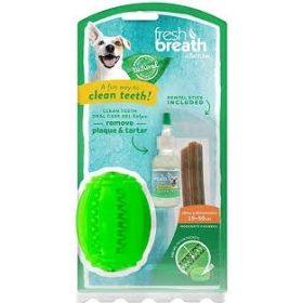 FB DENTAL HEALTH SOLUTION - 8 OZ