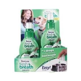 6 CT DISPLAY - FRESH BREATH DROPS