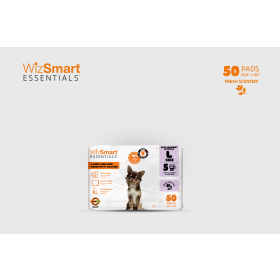 WIZSMART PADS SCENTED LARGE - 50 CT